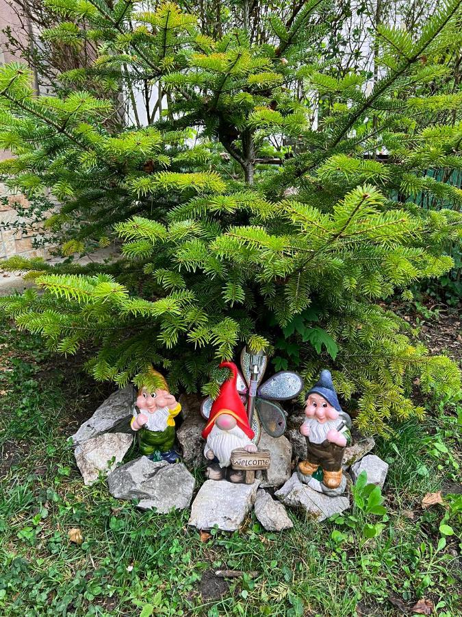 Tuendererdo Villa Miskolc Luaran gambar